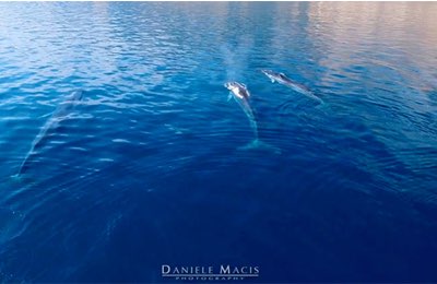 © Daniele Macis